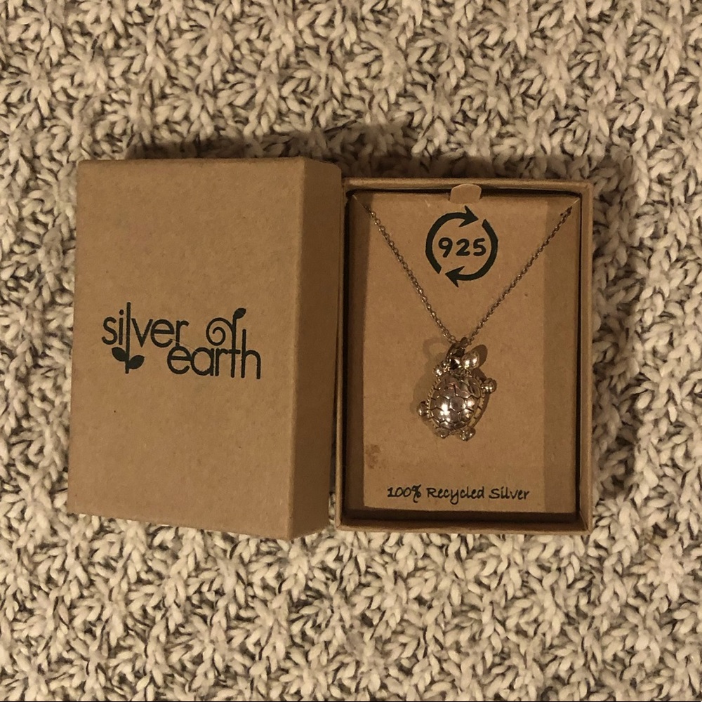 Silver Turtle Necklace